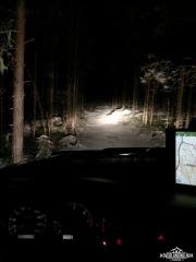 Navigering genom skogen