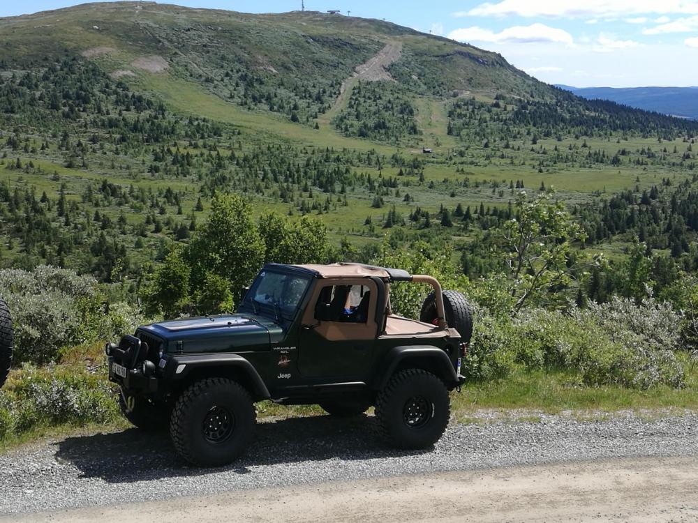 jeep på fjellet.jpg